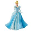 Cinderella Princess Expression Sale