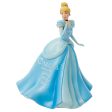 Cinderella Princess Expression Sale